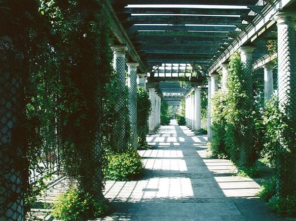 Hampstead Heath - the Hill Garden and Pergola (01/05/2019)