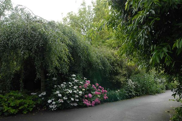 Hampstead Heath - the Hill Garden and Pergola (01/05/2019)