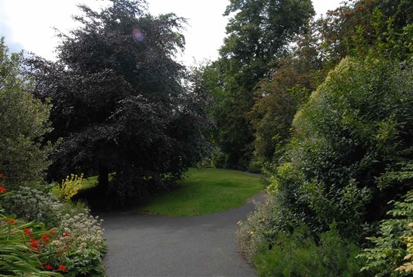 Hampstead Heath - the Hill Garden and Pergola (01/05/2019)