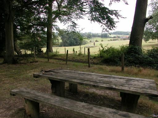 Bayhurst Wood Country Park (01/05/2019)
