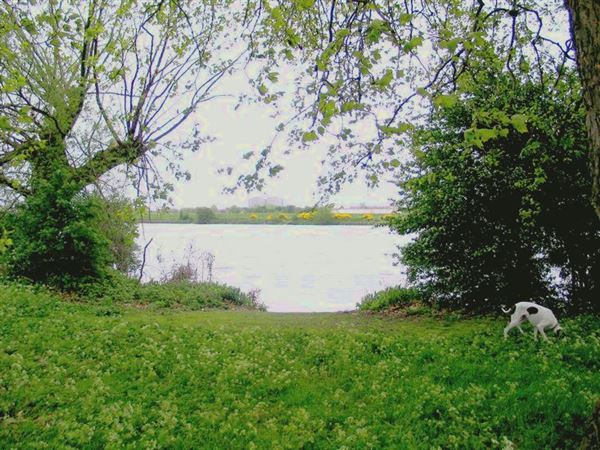 Lockwood Reservoir (01/05/2019)