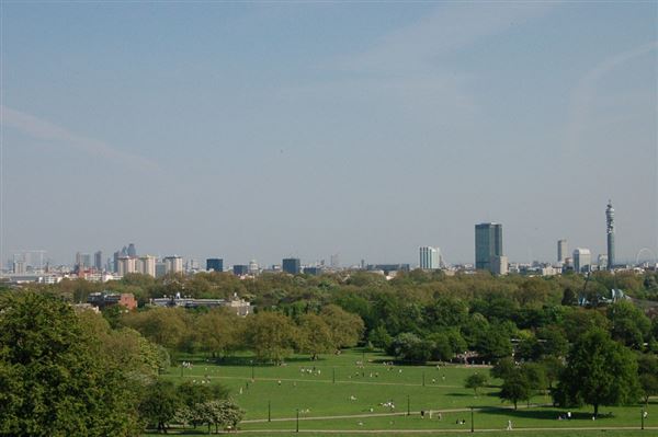 Primrose Hill (01/05/2019)