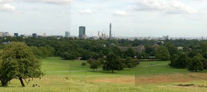 Primrose Hill (01/05/2019)