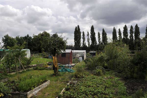 Birchen Grove Allotments (01/05/2019)