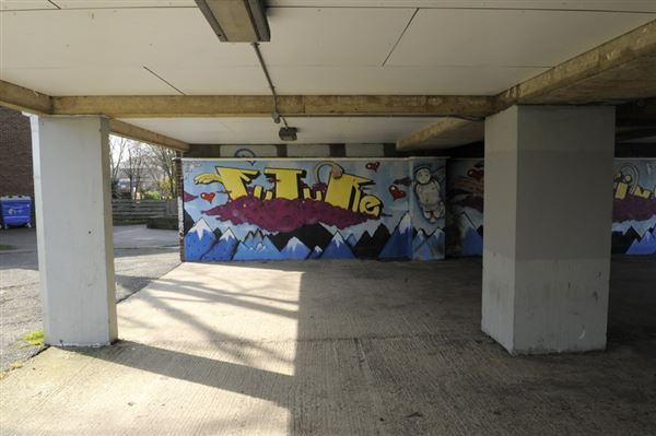 Benhill Estate (01/05/2019)
