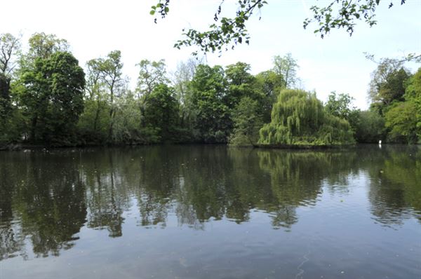 Canons Drive (01/05/2019)