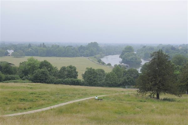 The Terrace Field (01/05/2019)