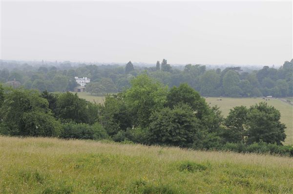 The Terrace Field (01/05/2019)