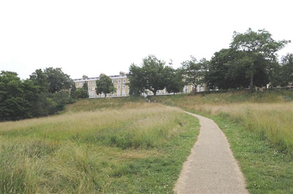 The Terrace Field (01/05/2019)