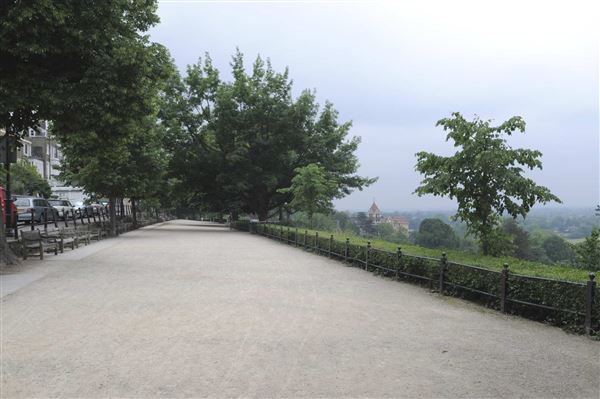 The Terrace Field (01/05/2019)