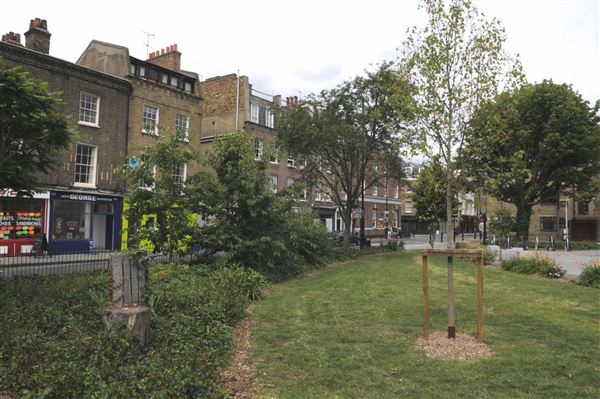 Tanner Street Park (01/05/2019)