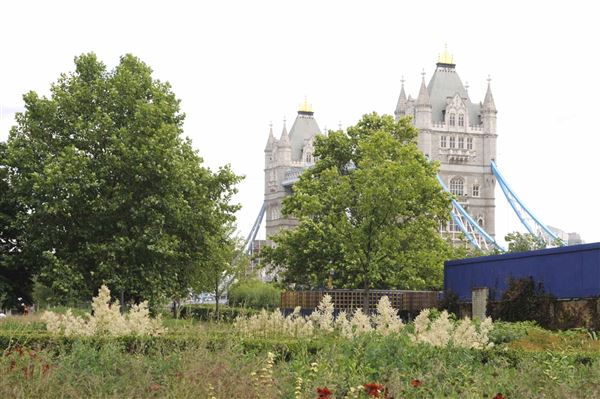 Potters Fields Park (01/05/2019)