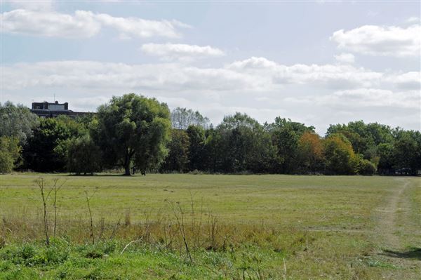 Barnes Common (01/05/2019)