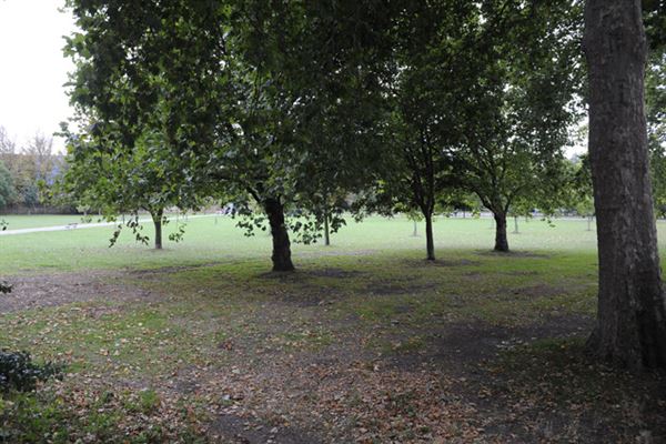 South Millfields Recreation Ground (01/05/2019)