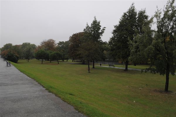 Royal Victoria Gardens (01/05/2019)