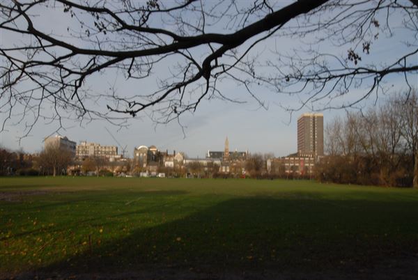 Weavers Fields (01/05/2019)