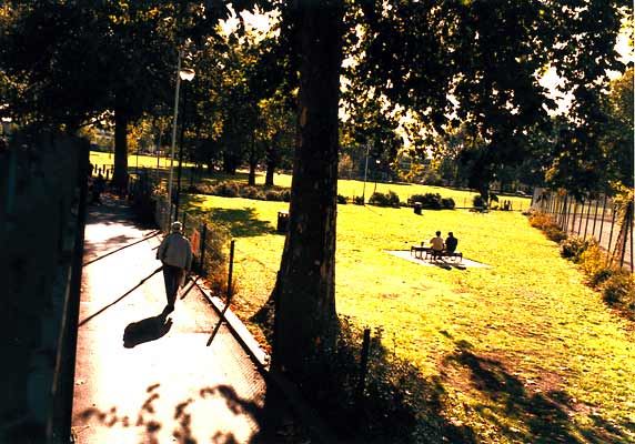 Eel Brook Common (01/05/2019)