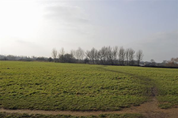 Elthorne Park (01/05/2019)