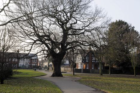 Lammas Park (01/05/2019)