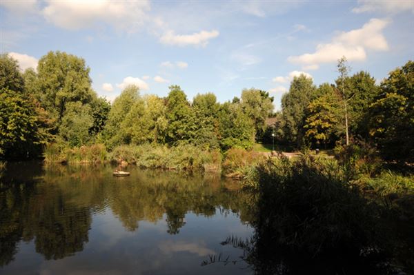 Russia Dock Woodland (01/05/2019)