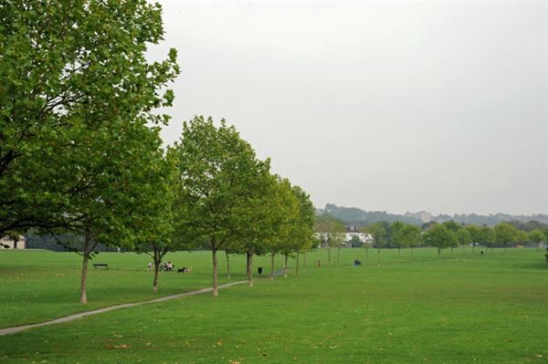 Norbury Park (01/05/2019)