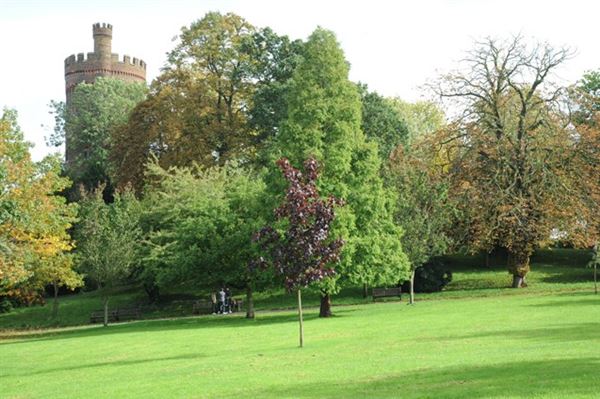 Park Hill Park (01/05/2019)
