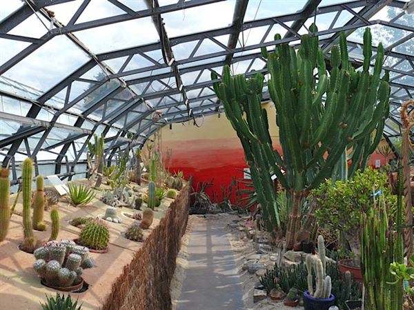 Wolves Lane Horticultural Nursery (01/05/2019)