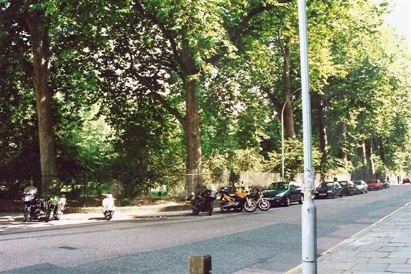 Gordon Square Gardens (01/05/2019)
