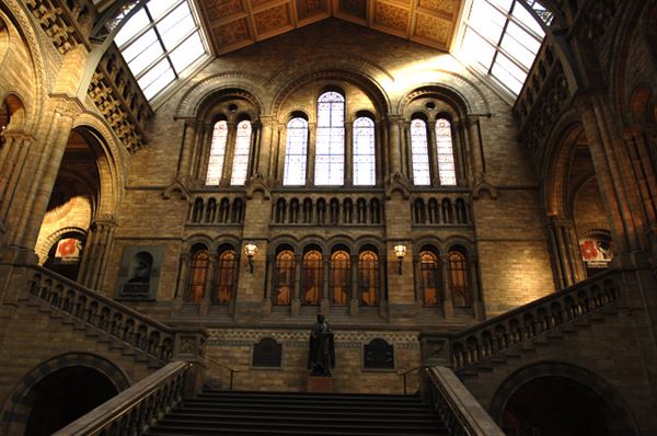 Natural History Museum (01/05/2019)