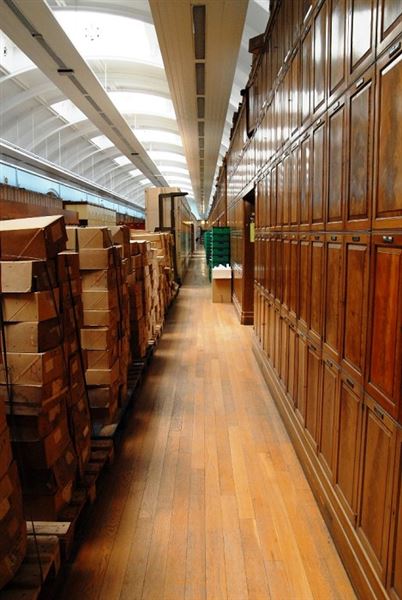 Natural History Museum (01/05/2019)