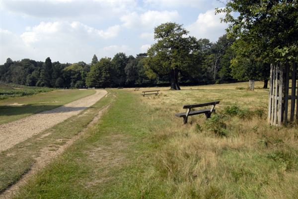 Richmond Park (01/05/2019)