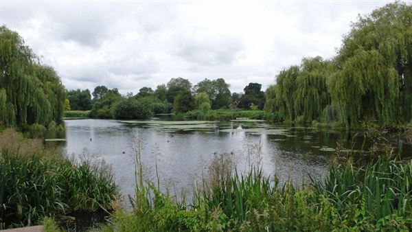 Foots Cray Meadows (01/05/2019)