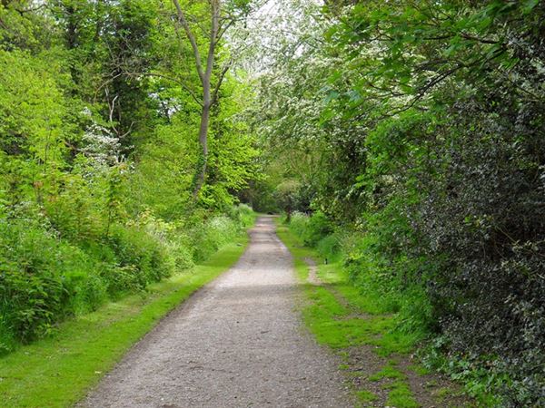 Foots Cray Meadows (01/05/2019)