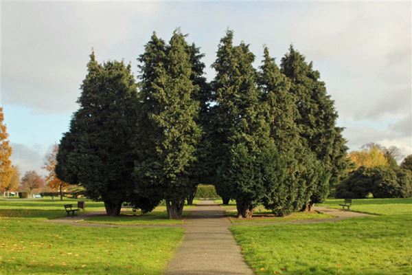 Seven Kings Park (01/05/2019)