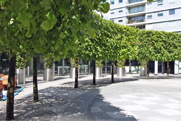 Cardinal Place - Park (01/05/2019)