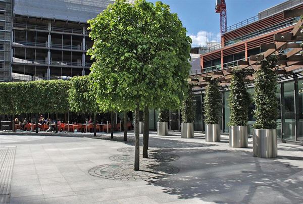 Cardinal Place - Park (01/05/2019)