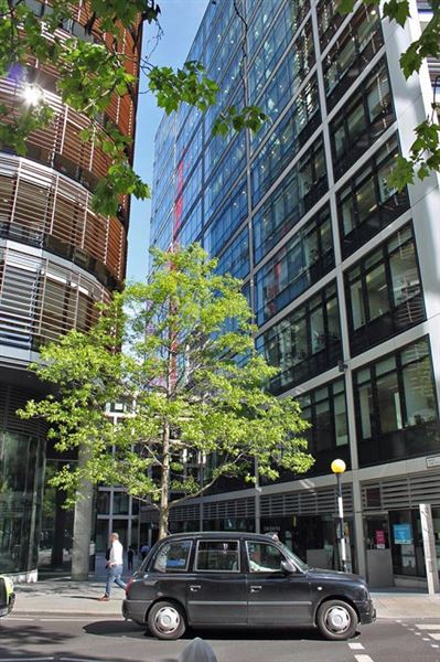 New Street Square (01/05/2019)