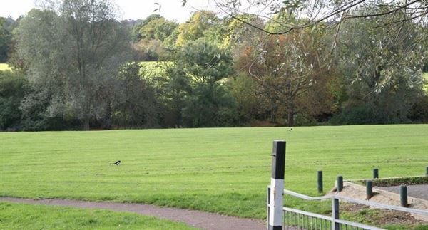 Brook Farm Open Space (17/05/2018)