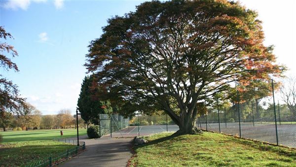 Hendon Park (01/05/2018)