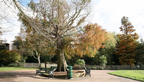 Old Court House Recreation Ground (09/04/2018)