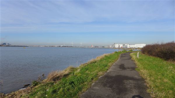 Rainham Marshes - Thames Side (20/04/2018)
