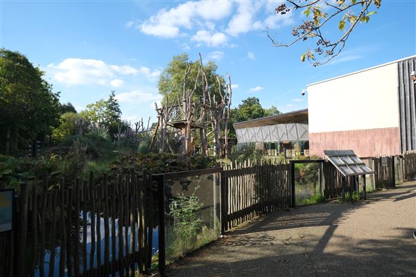 London Zoo (04/10/2024)