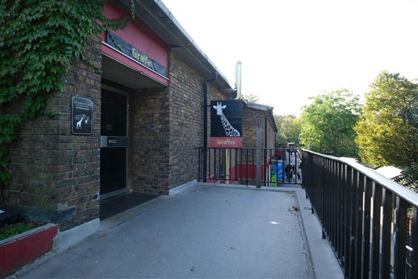 London Zoo (04/10/2024)