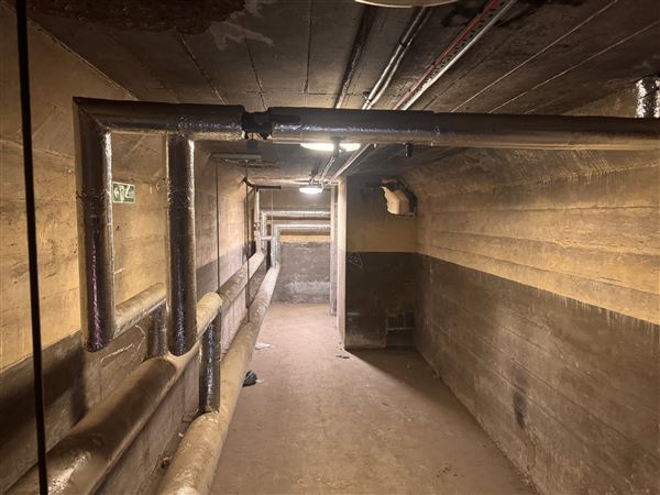 Barking Town Hall - Basement (17/01/2025)