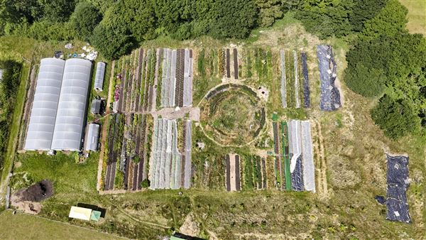 Soul Farm (25/03/2026 - Credits: submitted by: Jo Thompson)