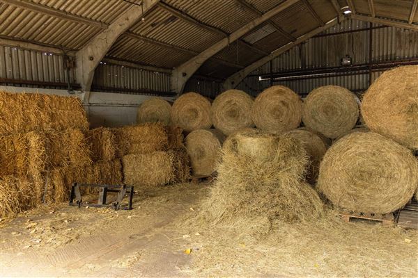 Keepers Farm (25/03/2026 - Credits: submitted by: Jo  Thompson)