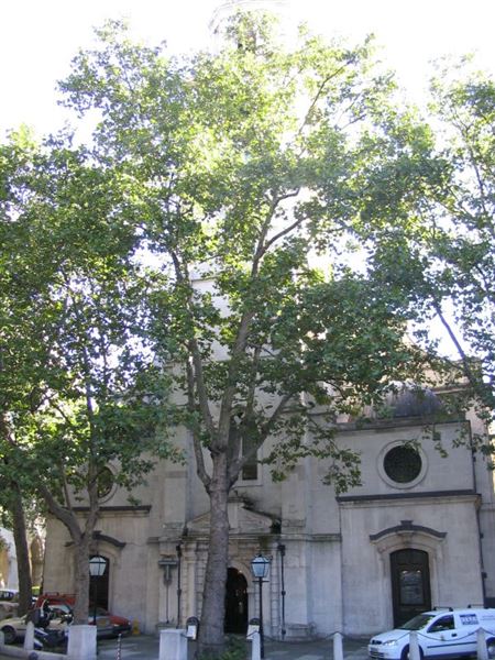 St Clement Danes Church (01/05/2019)