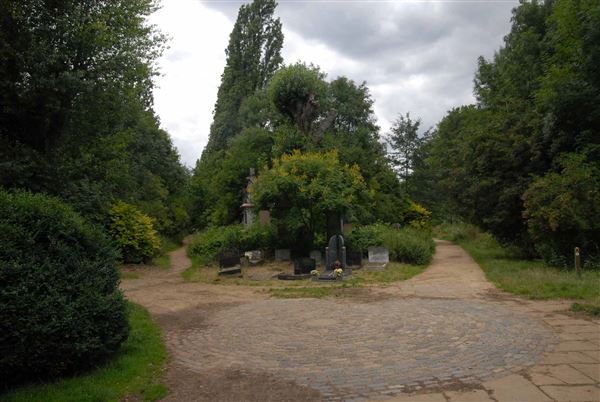 Abney Park Cemetery (01/05/2019)