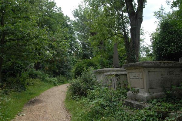 Abney Park Cemetery (01/05/2019)