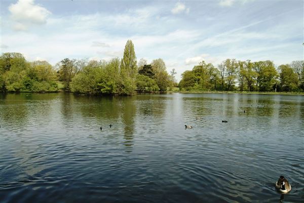 Grovelands Park (01/05/2019)